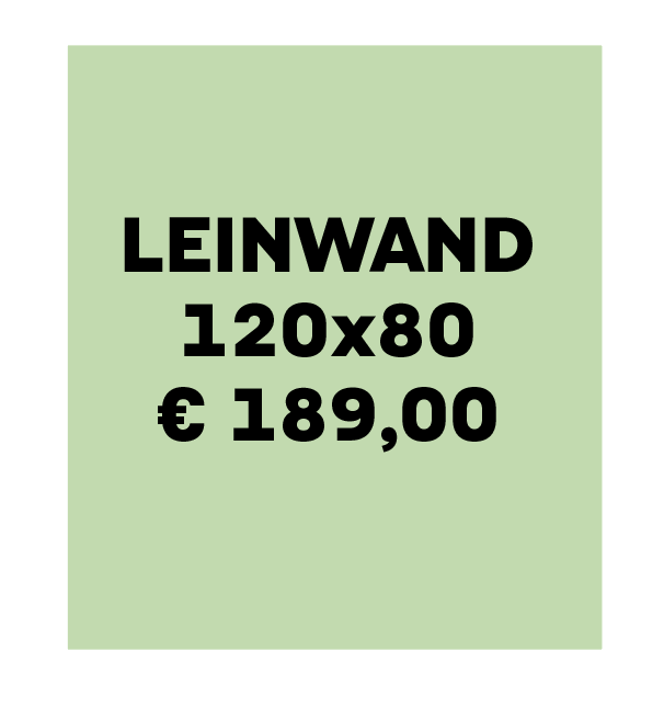Leinwand 120x80 div. Motive (Kopie)
